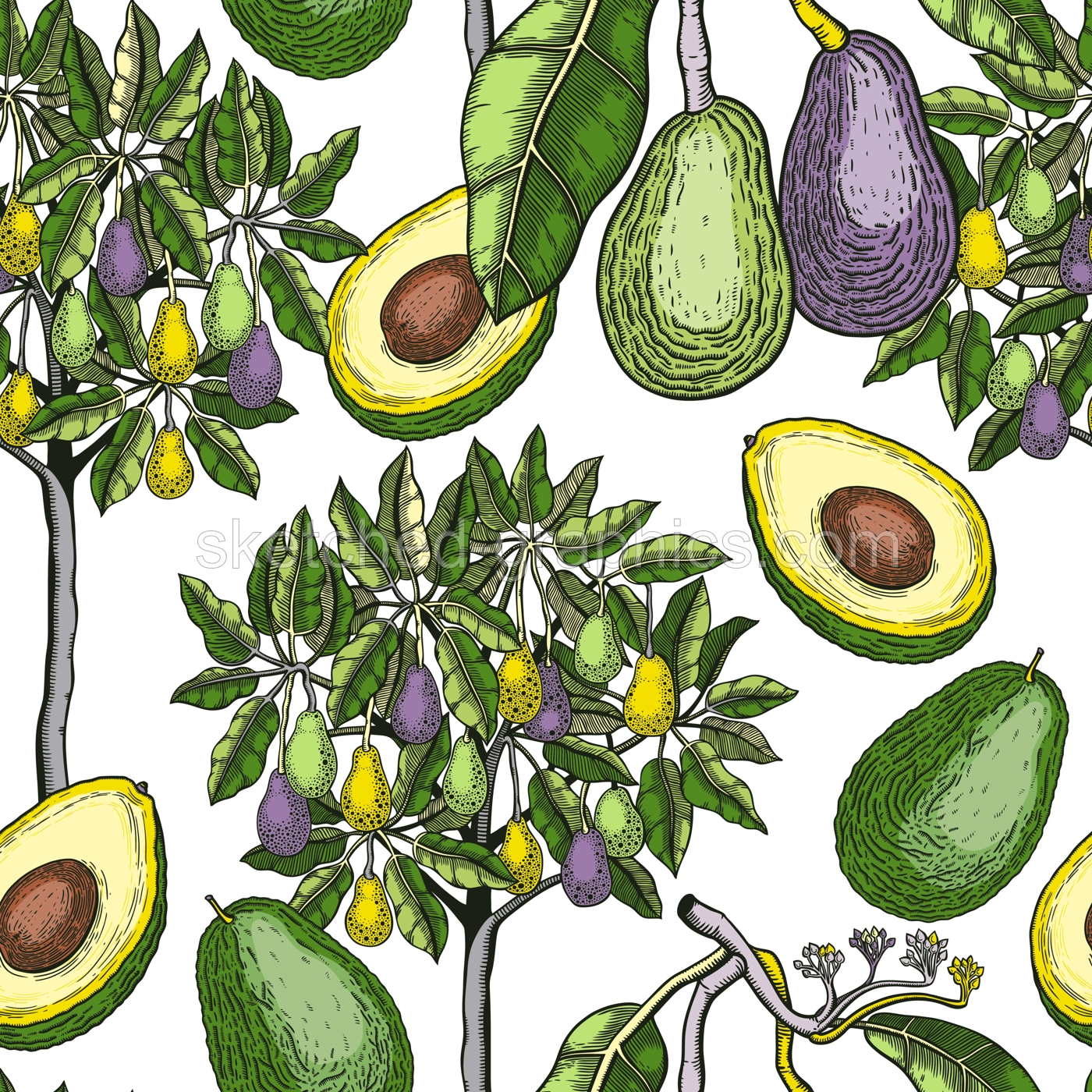 Green avocado tree design. Flat fruit branches, flowers, whole avocado, cut half piece in colors. Seamless healthy food pattern. Vector plant illustration isolated on white background Illustration